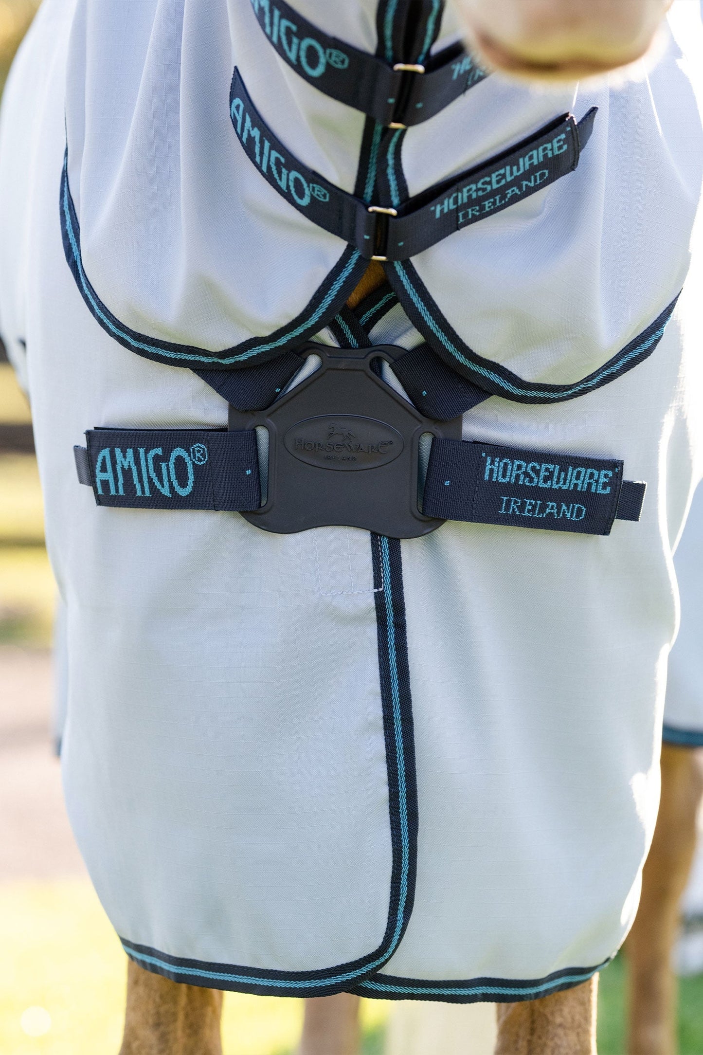 Eksemtäcke Amigo Ripstop Ponny Azure Blue