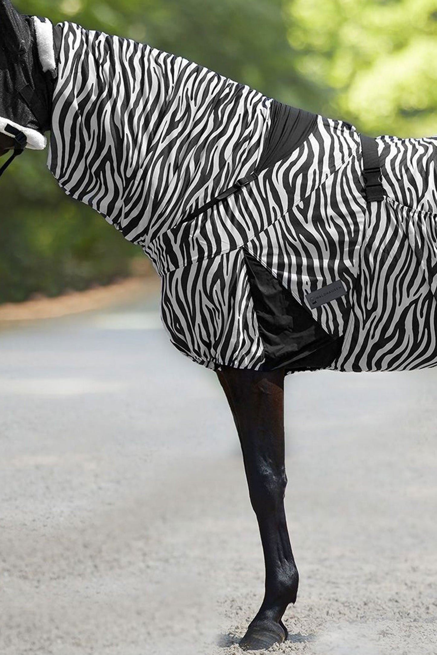 Eksemtäcke Zebra