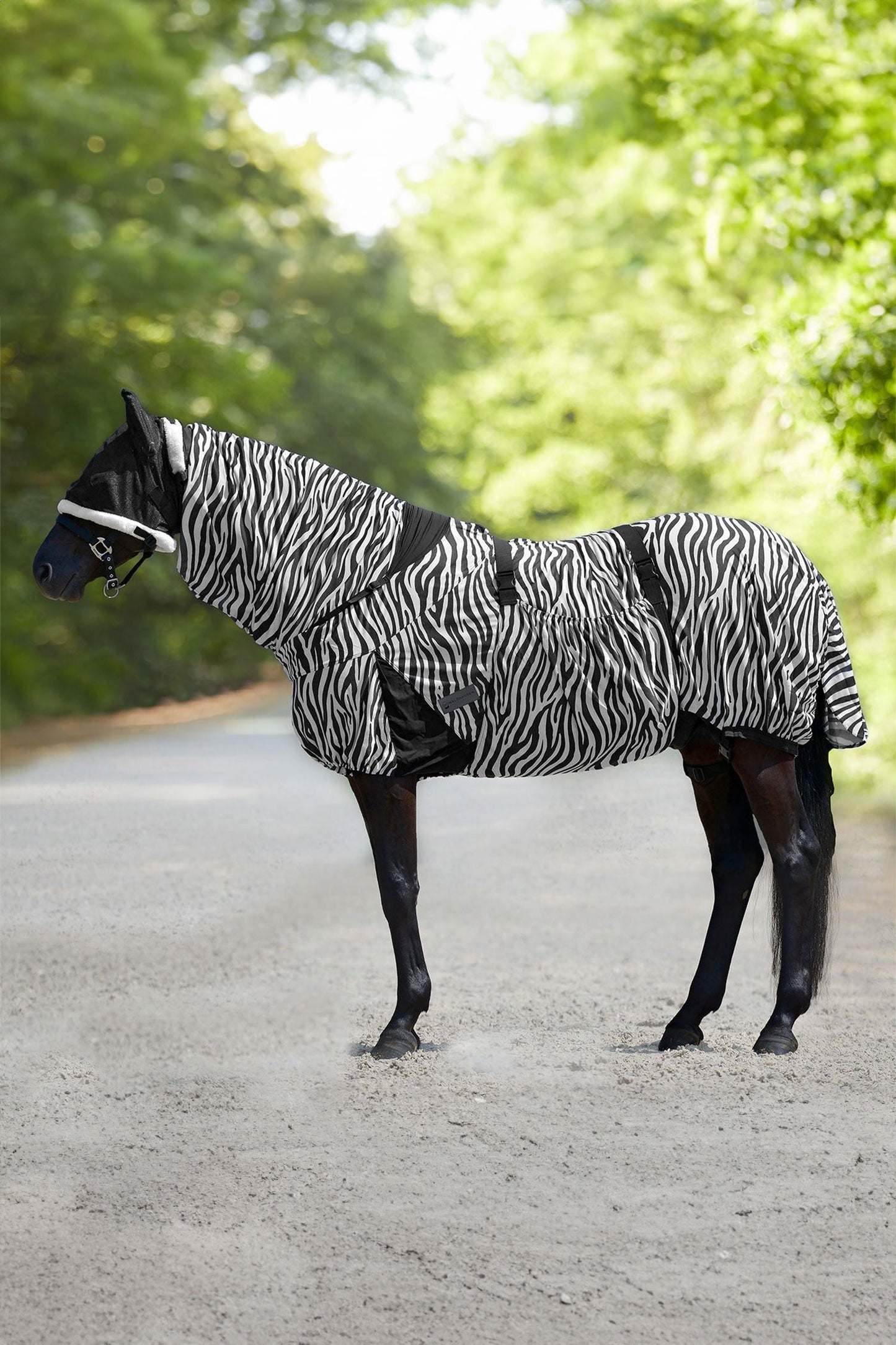Eksemtäcke Zebra