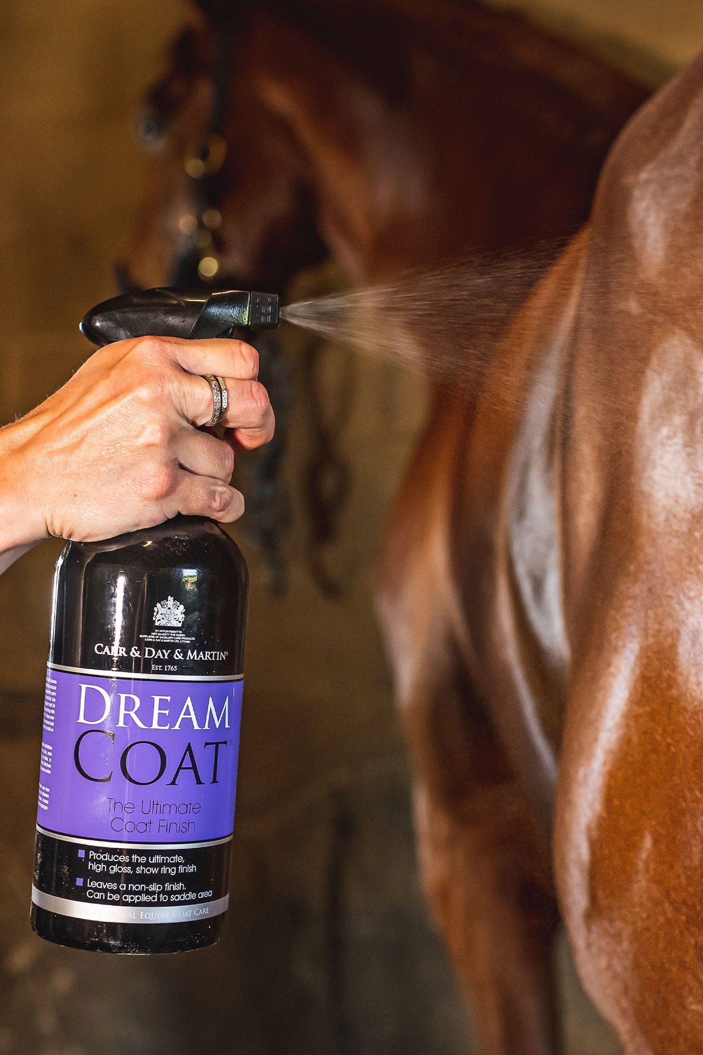 Dreamcoat Spray