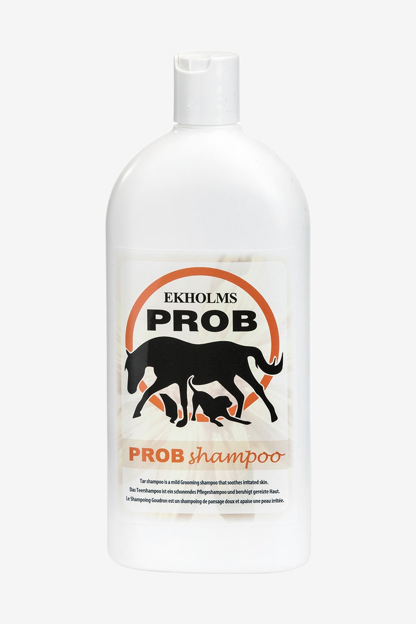 Prob Tjärschampo