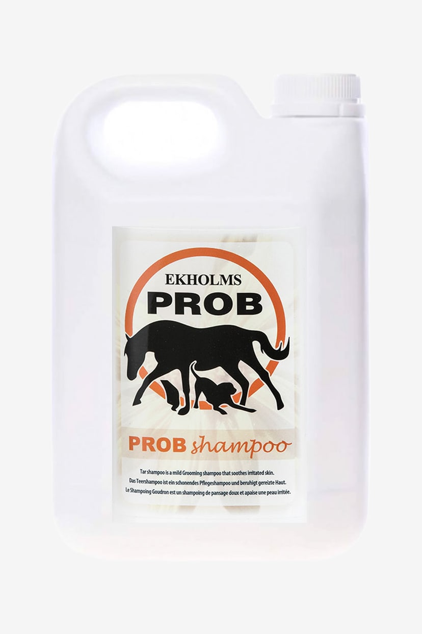 Prob Tjärschampo