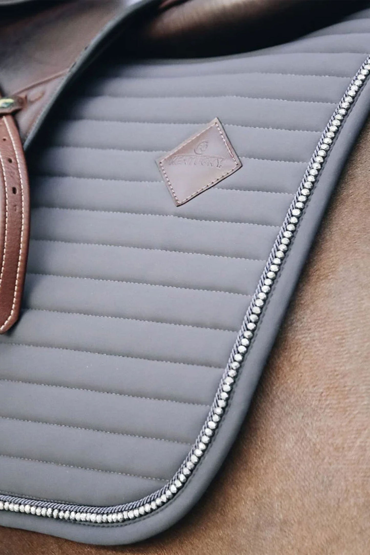 Pearls Dressyrschabrak
