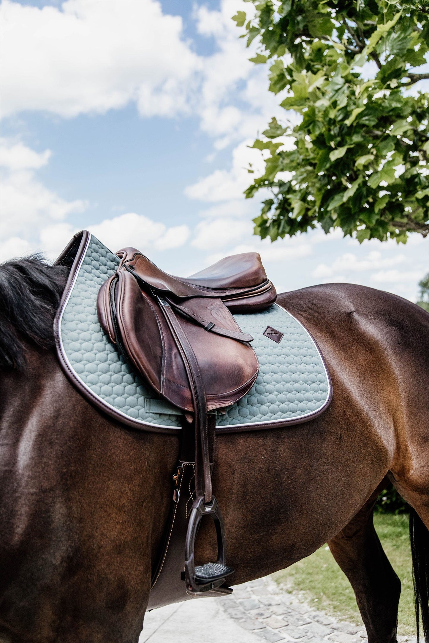 Schabrak Classic Leather