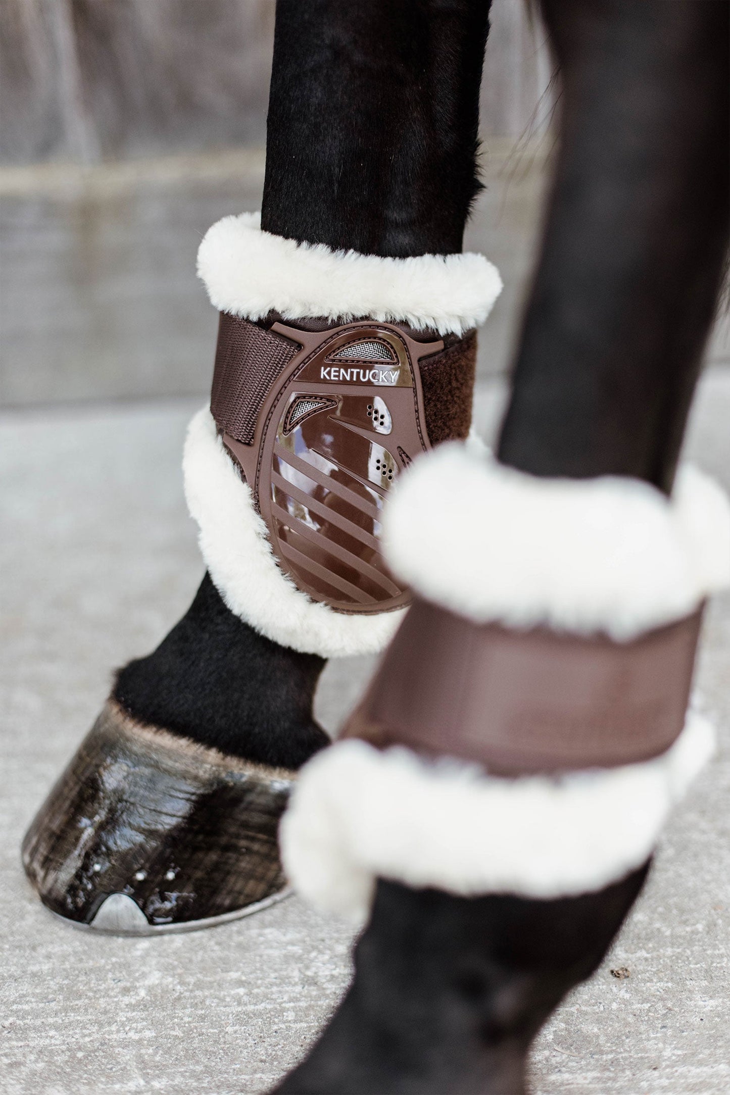 Sheepskin Bakskydd Unghäst