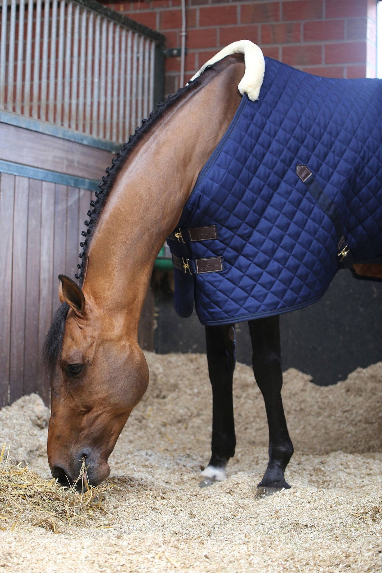 Stalltäcke 200g