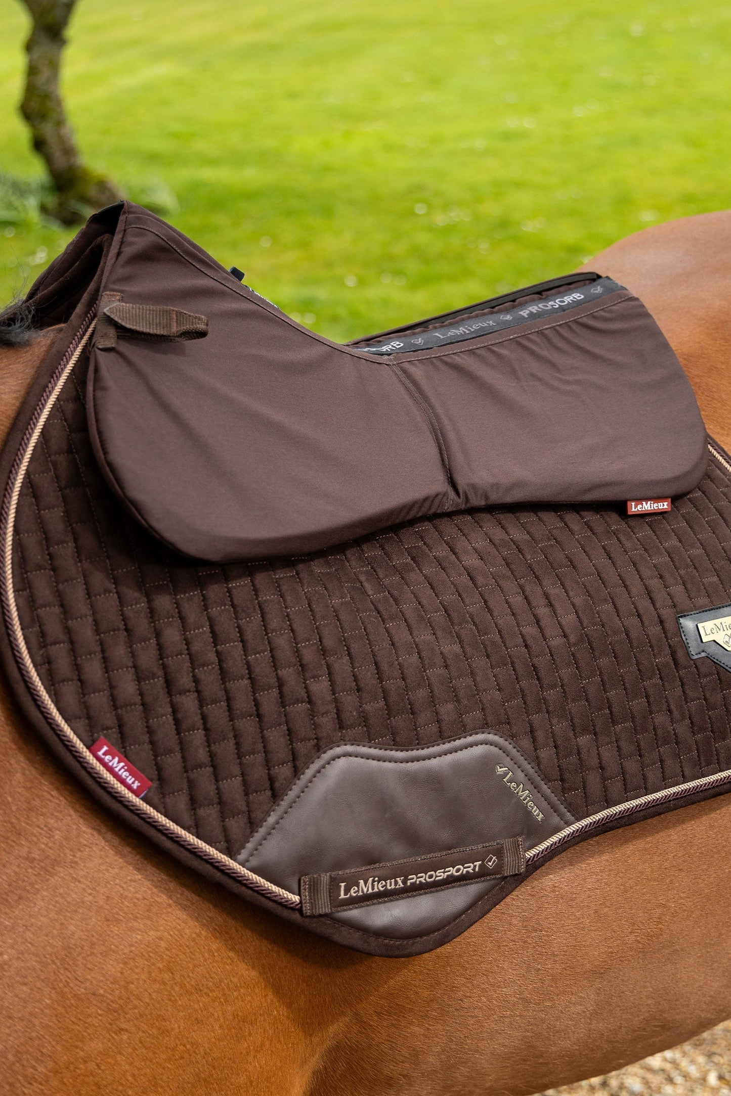 ProSorb Plain 2 pocket Half Pad