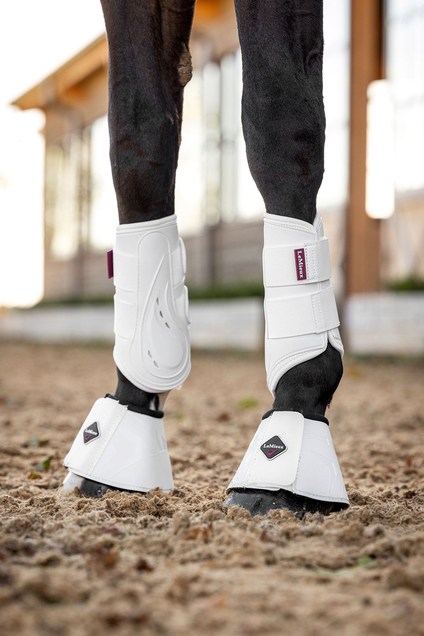 Proshell Over Reach Boots