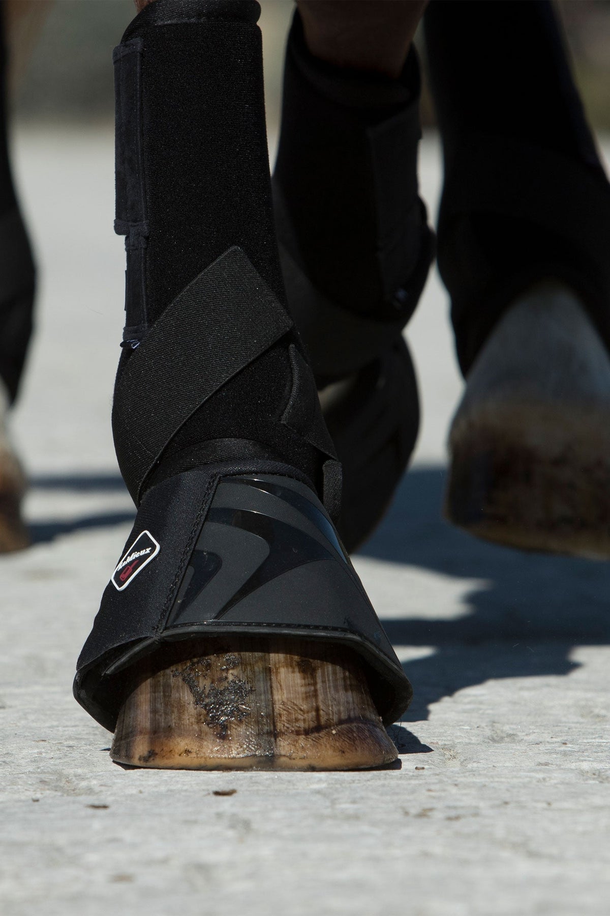 Proshell Over Reach Boots