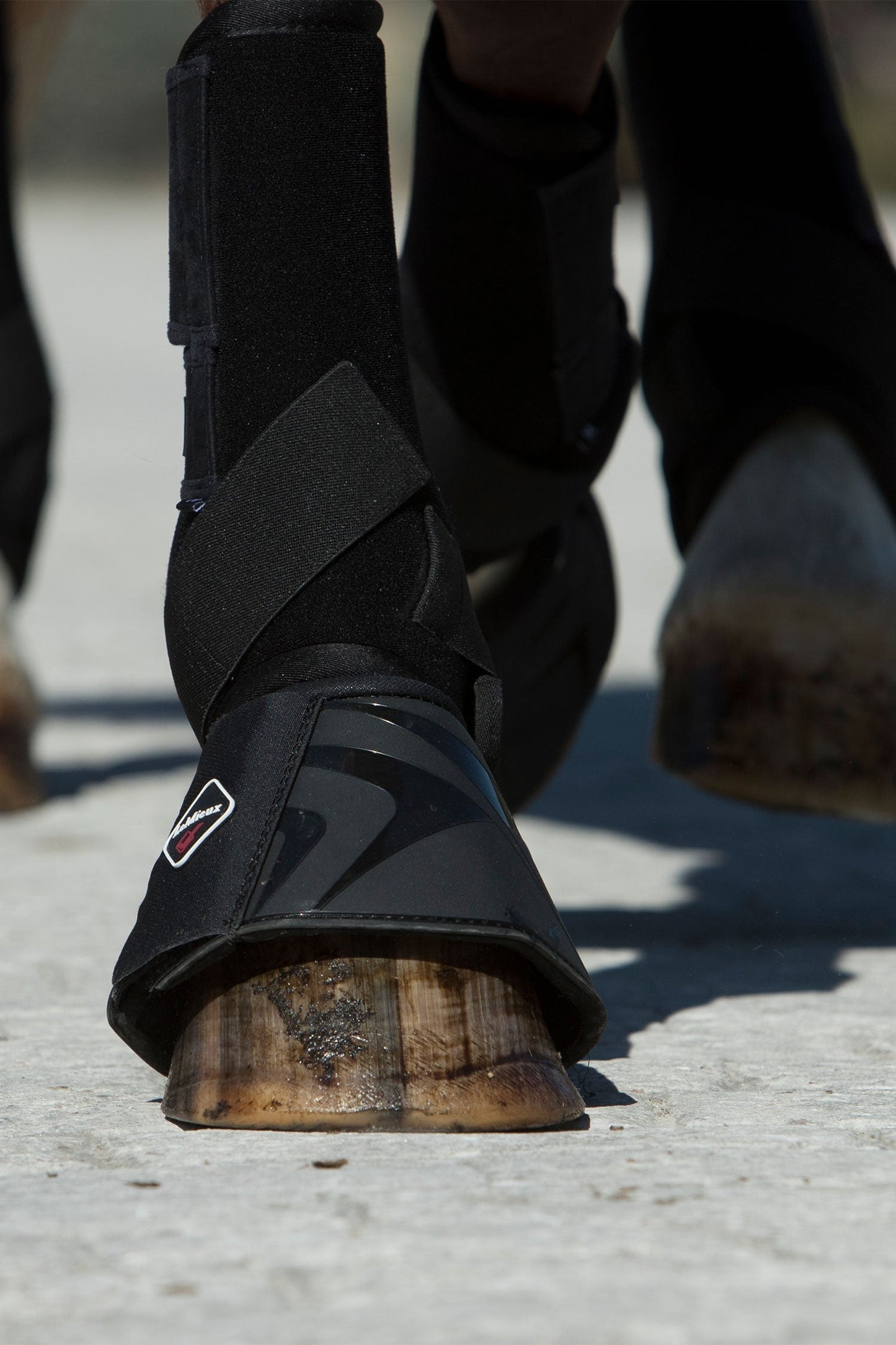 Proshell Over Reach Boots