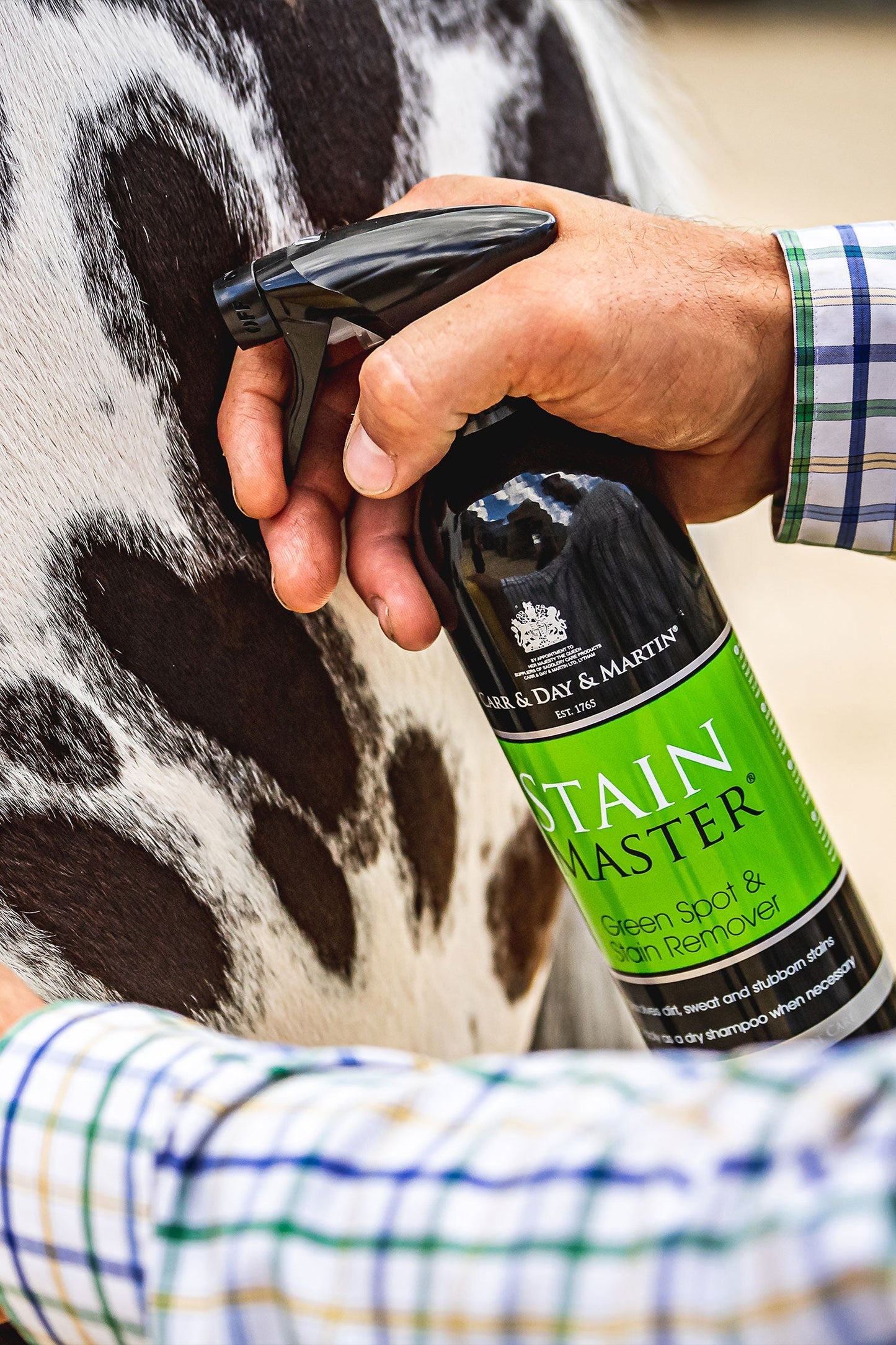 Stain Master Spray