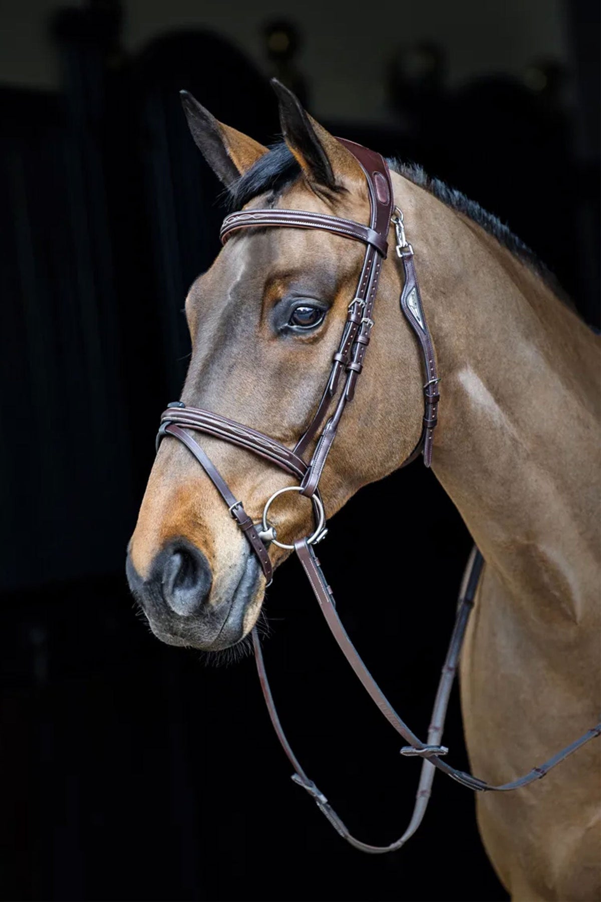 Equiline - Anatomiskt Set