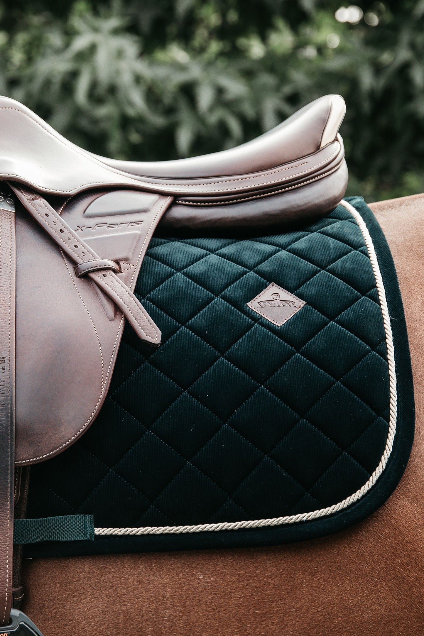 Corduroy Hoppschabrak