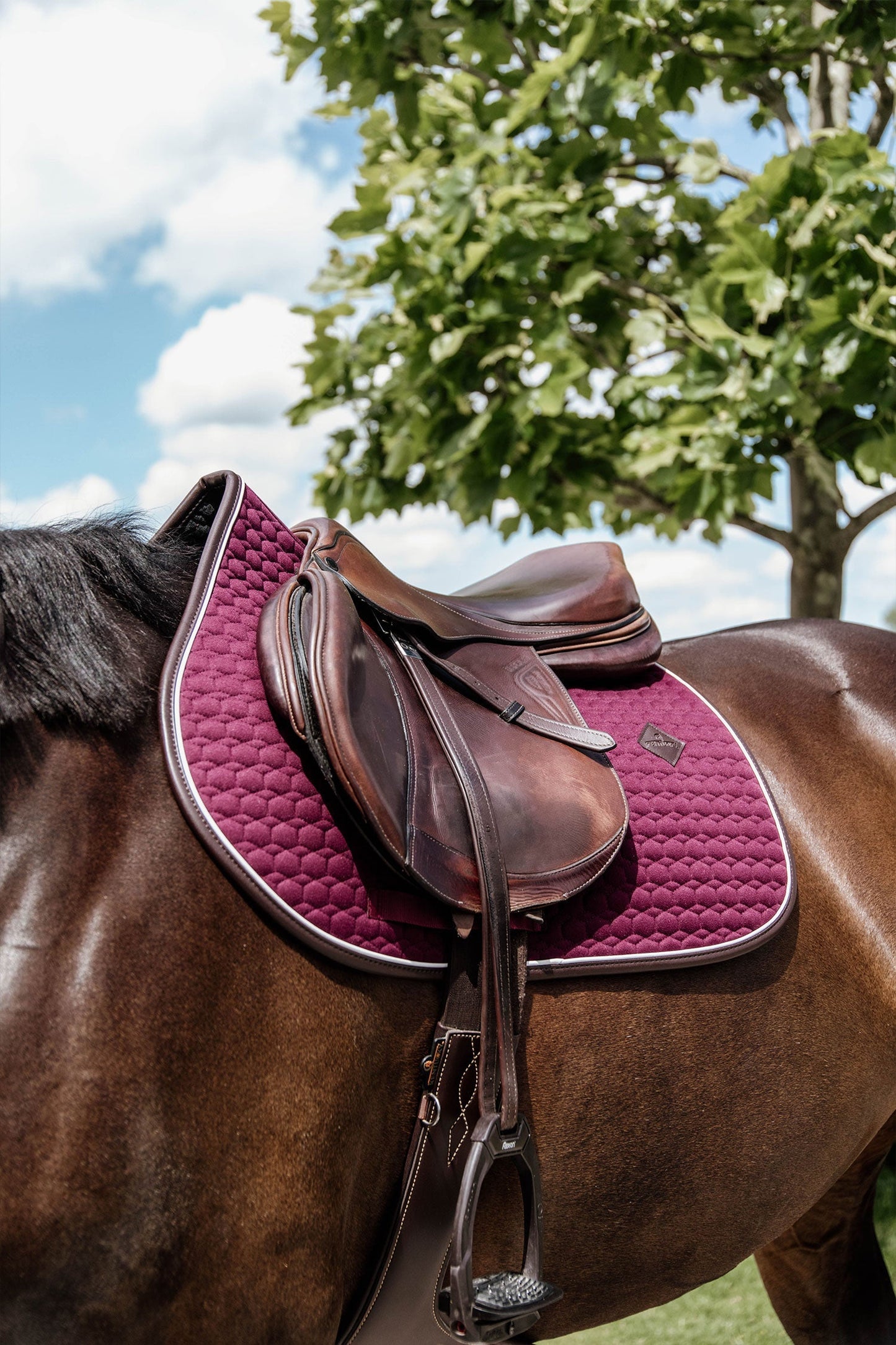 Schabrak Classic Leather