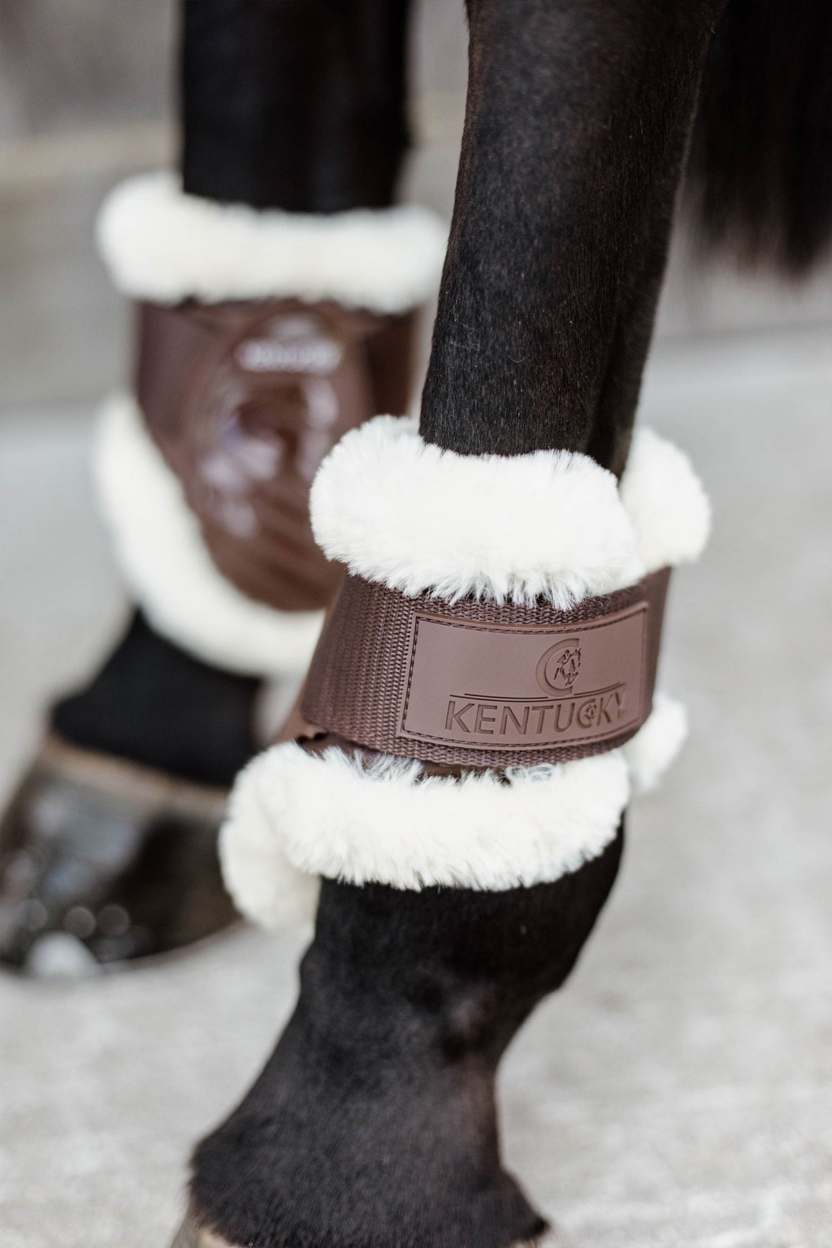 Sheepskin Bakskydd Unghäst