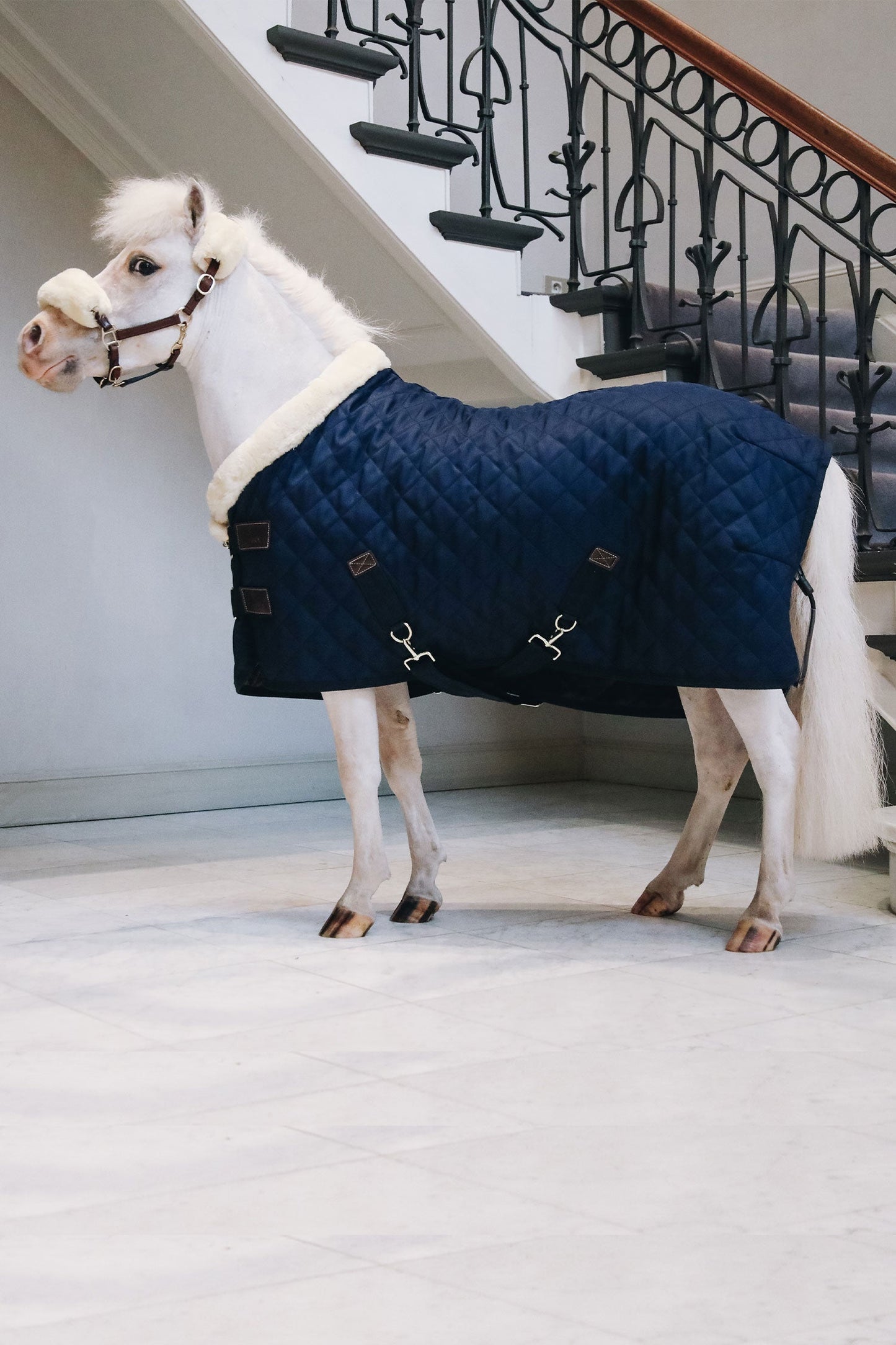 Show Rug Tiny Collection