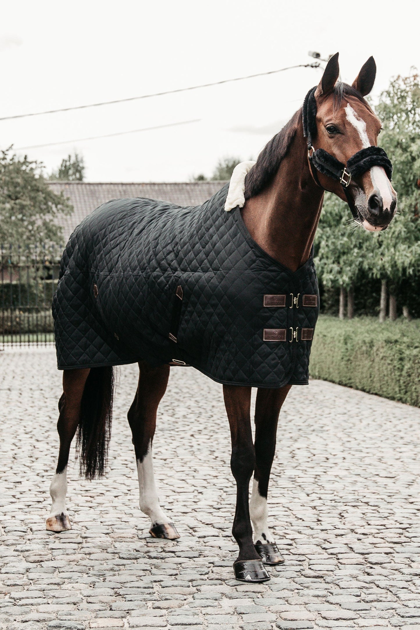 Stalltäcke 400g