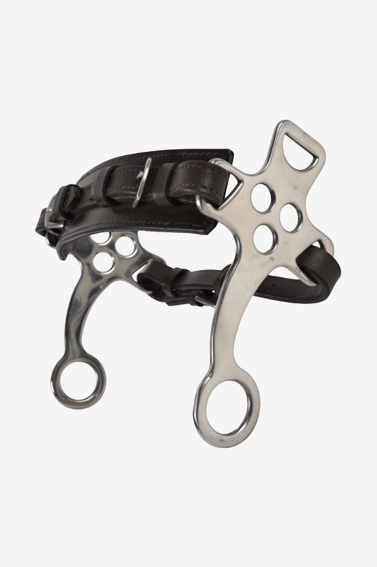 Hackamore